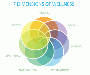 7 elements of wellness Venn style diagram. Series of seven overlapping circles forming a larger circle indicating how the seven elements intersect.