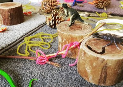 Preschool Beyond Walls: Integrating Nature into the Preschool Classroom