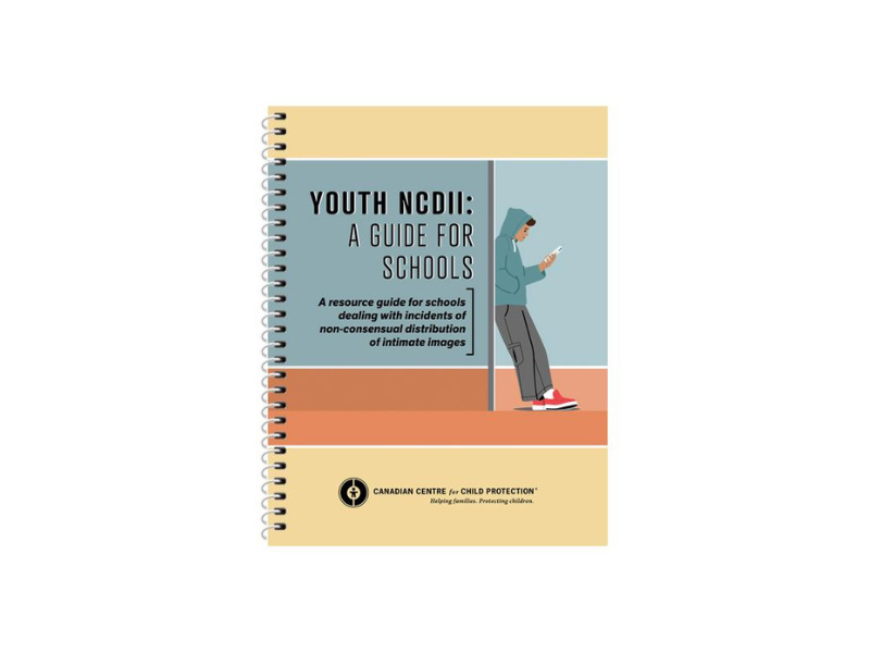 Youth NCDII: A guide for schools
