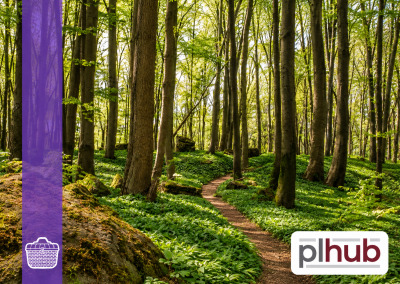 Holistic Curriculum Stewardship